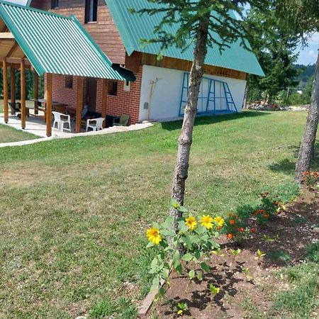 House In Forest Zabljak  Bagian luar foto