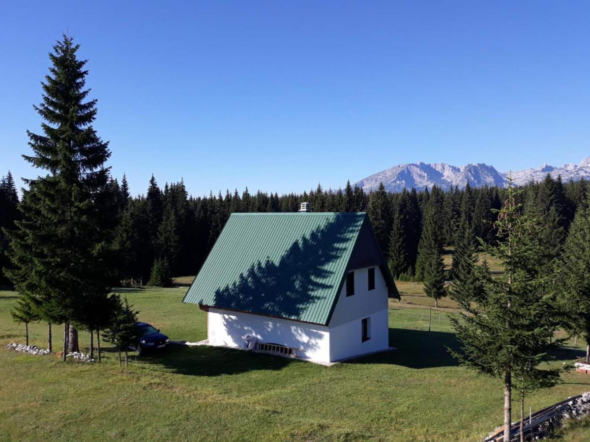 House In Forest Zabljak  Bagian luar foto