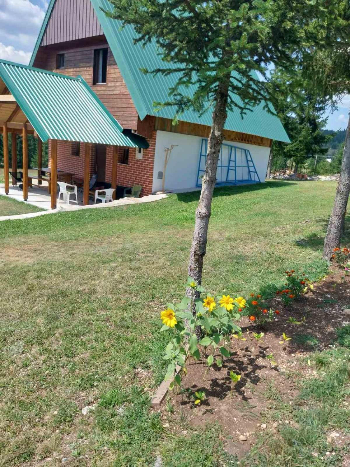 House In Forest Zabljak  Bagian luar foto