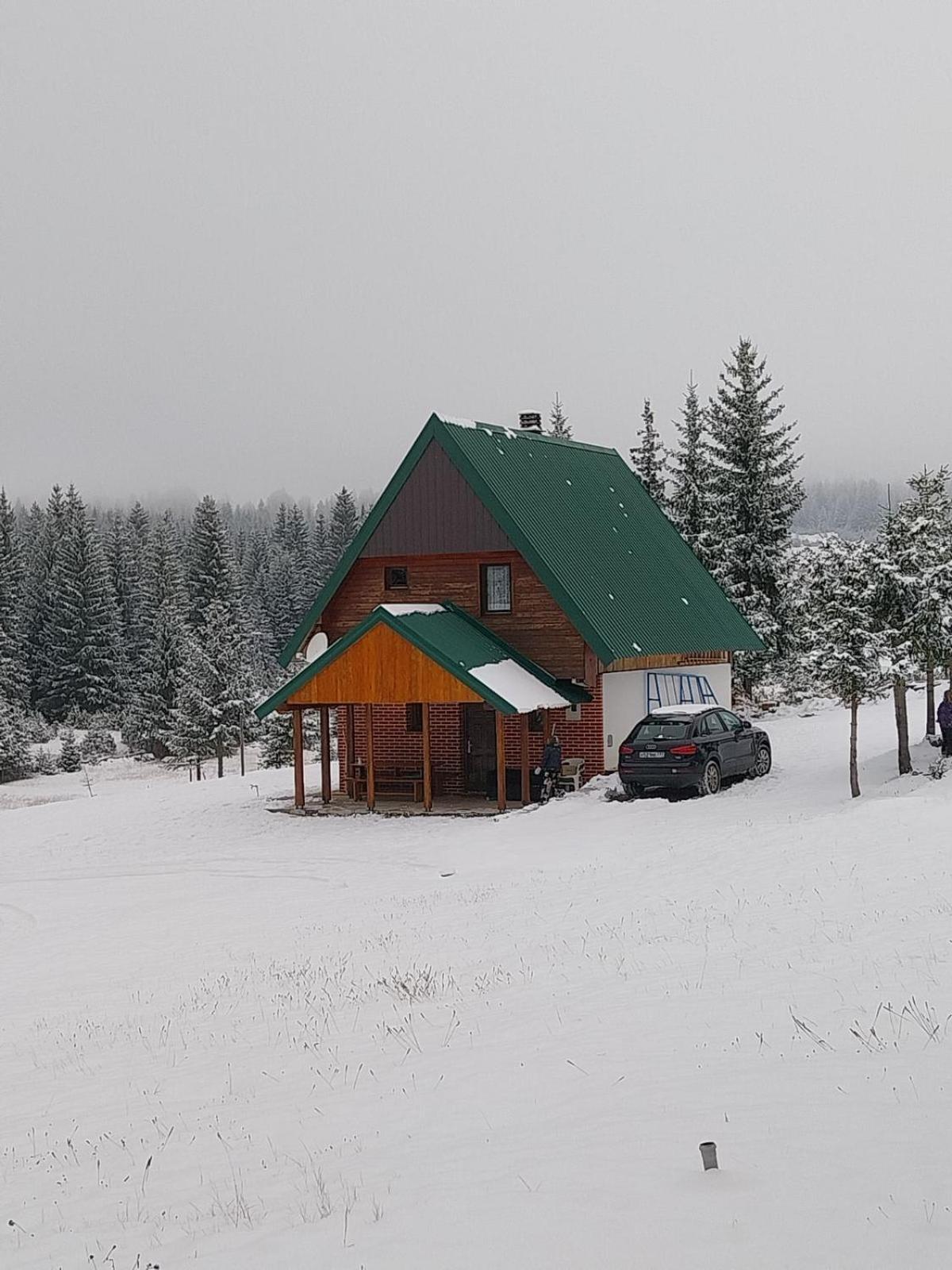 House In Forest Zabljak  Bagian luar foto