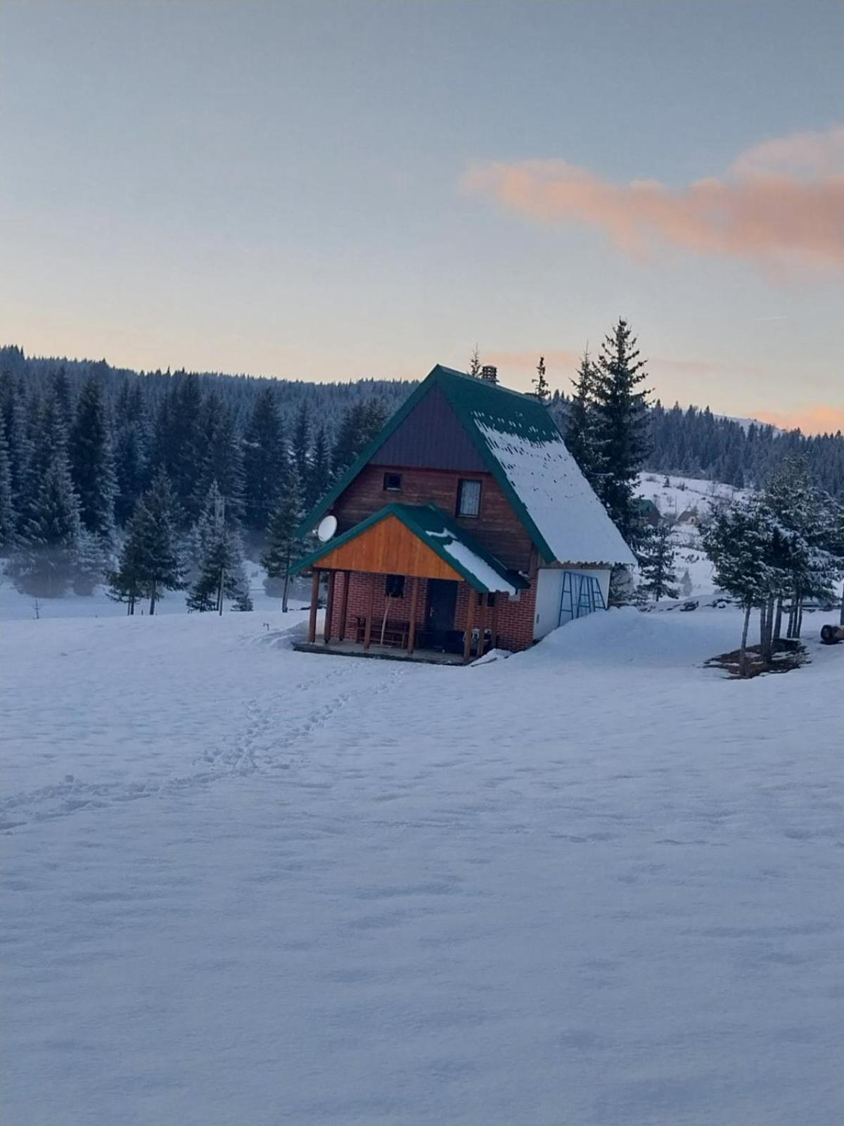 House In Forest Zabljak  Bagian luar foto