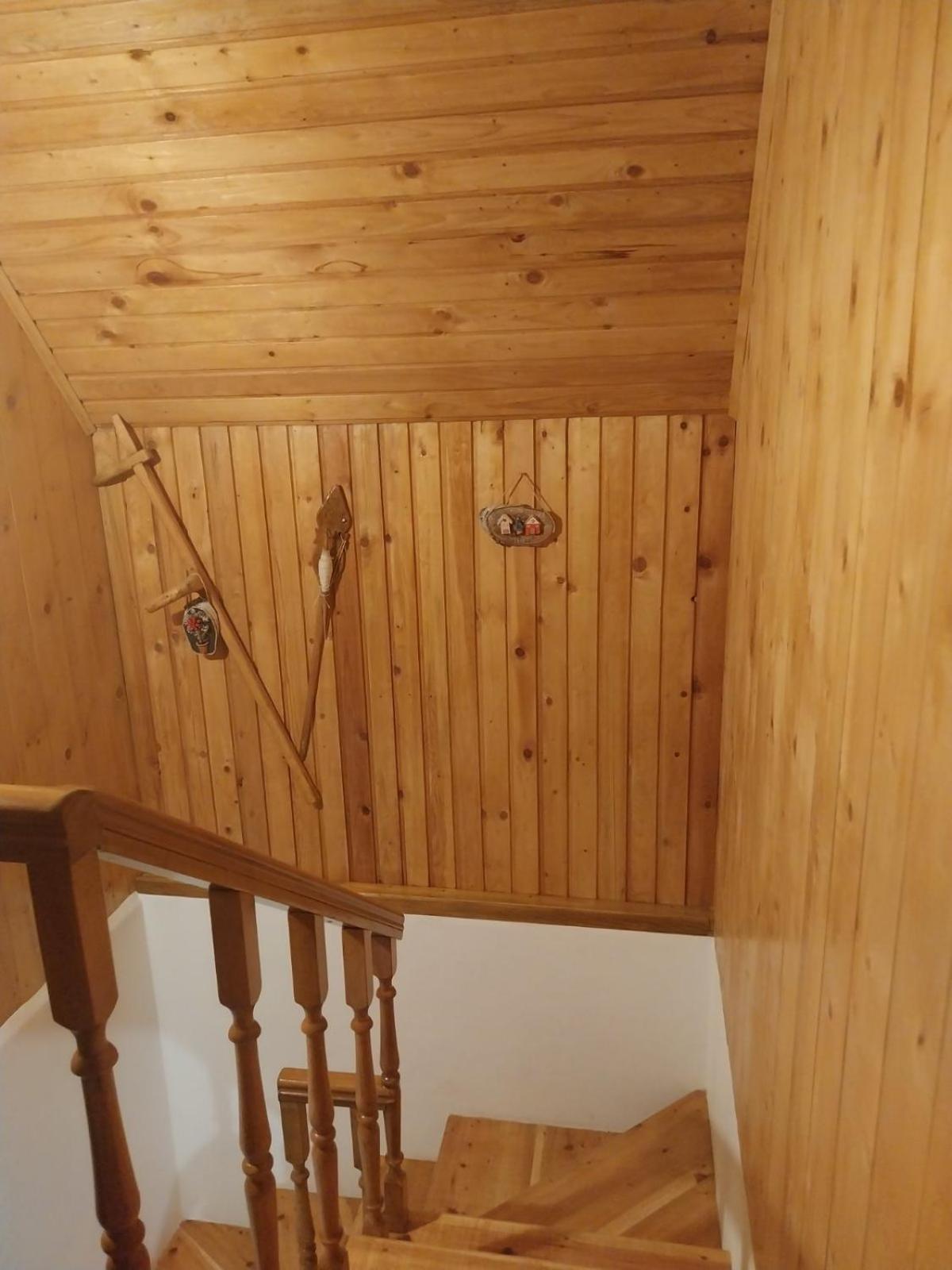 House In Forest Zabljak  Bagian luar foto