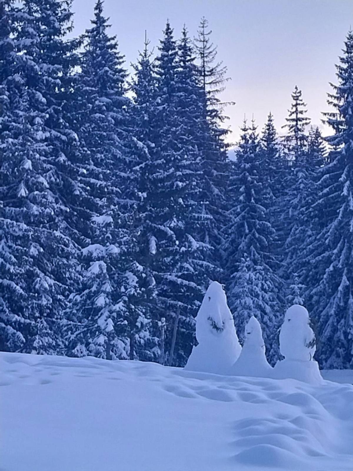 House In Forest Zabljak  Bagian luar foto