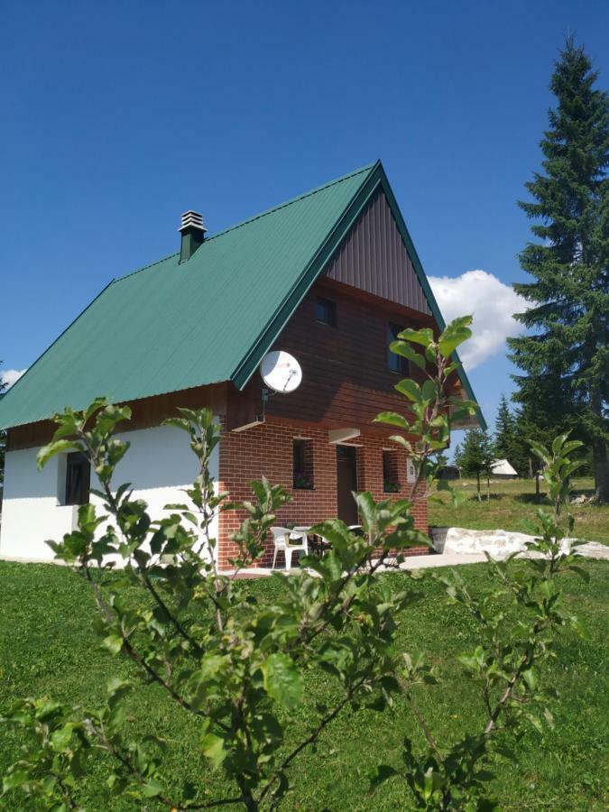 House In Forest Zabljak  Bagian luar foto