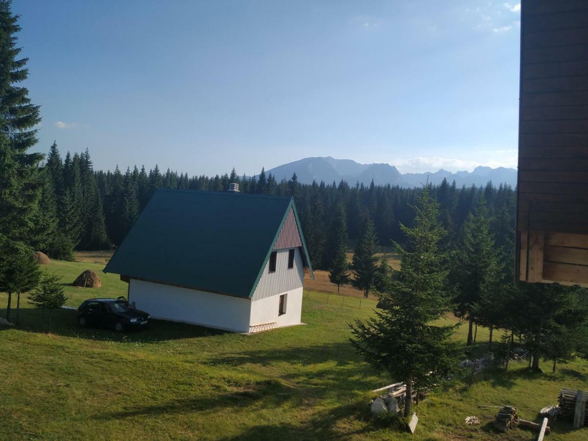 House In Forest Zabljak  Bagian luar foto