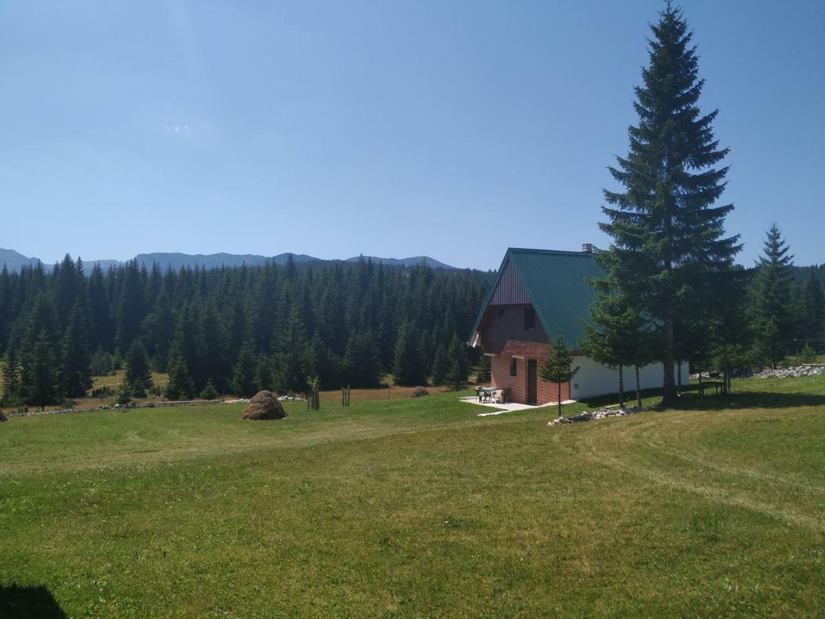 House In Forest Zabljak  Bagian luar foto